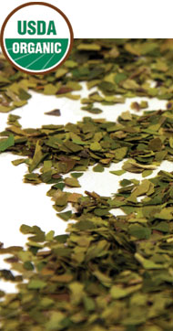 Organic Yerba Mate (2 oz loose leaf) - Click Image to Close